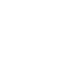 San-Fit Icons