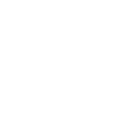 San-Fit Icons